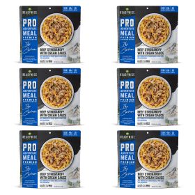 6 CT ReadyWise Pro Adventure Meal Beef Stroganoff with Mushroom Cream Sauce